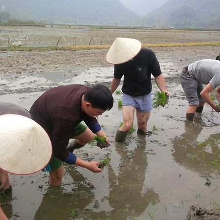 Tam Coc Rice Fields Resort Νιν Μπιν Εξωτερικό φωτογραφία