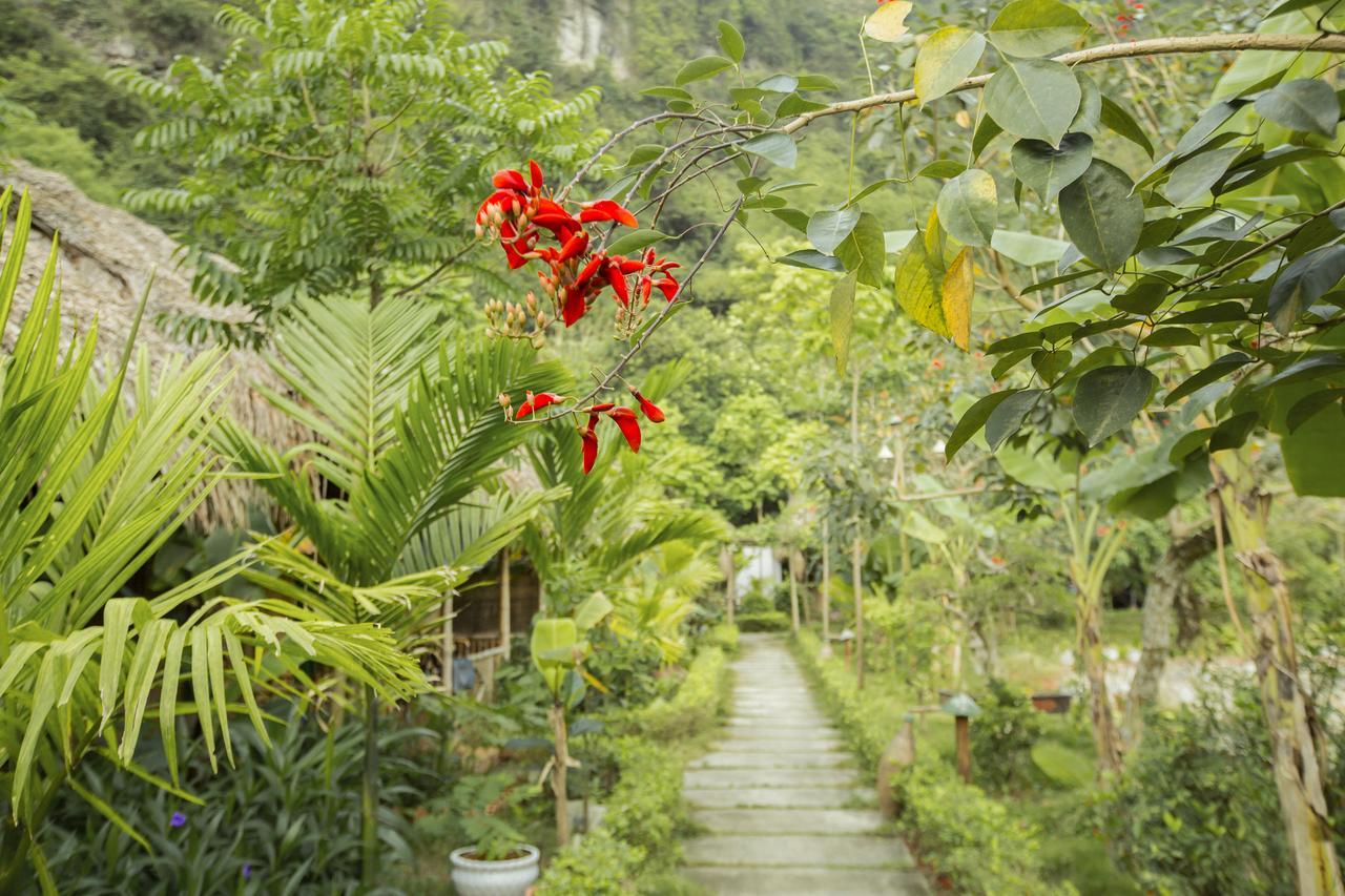 Tam Coc Rice Fields Resort Νιν Μπιν Εξωτερικό φωτογραφία